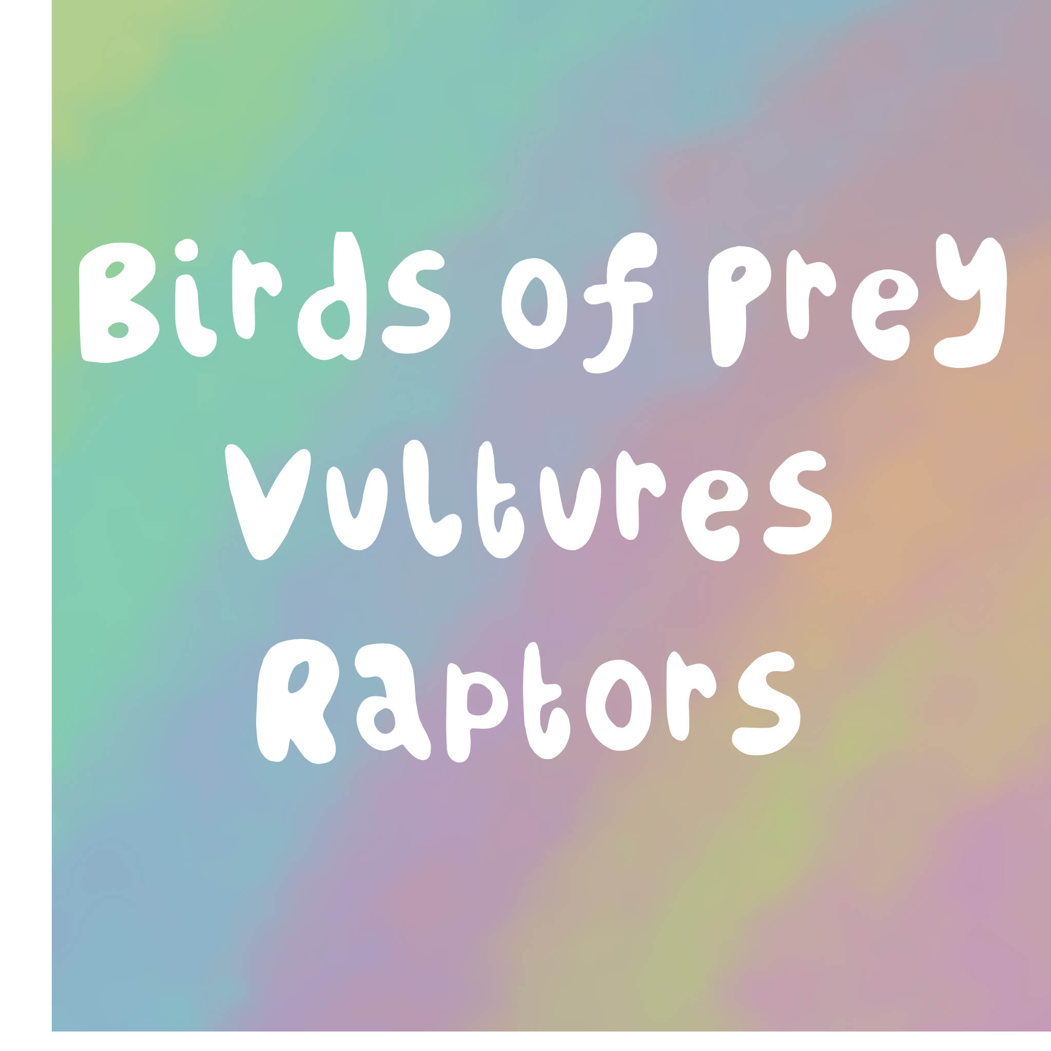 Birds of Prey, Vultures, Raptors