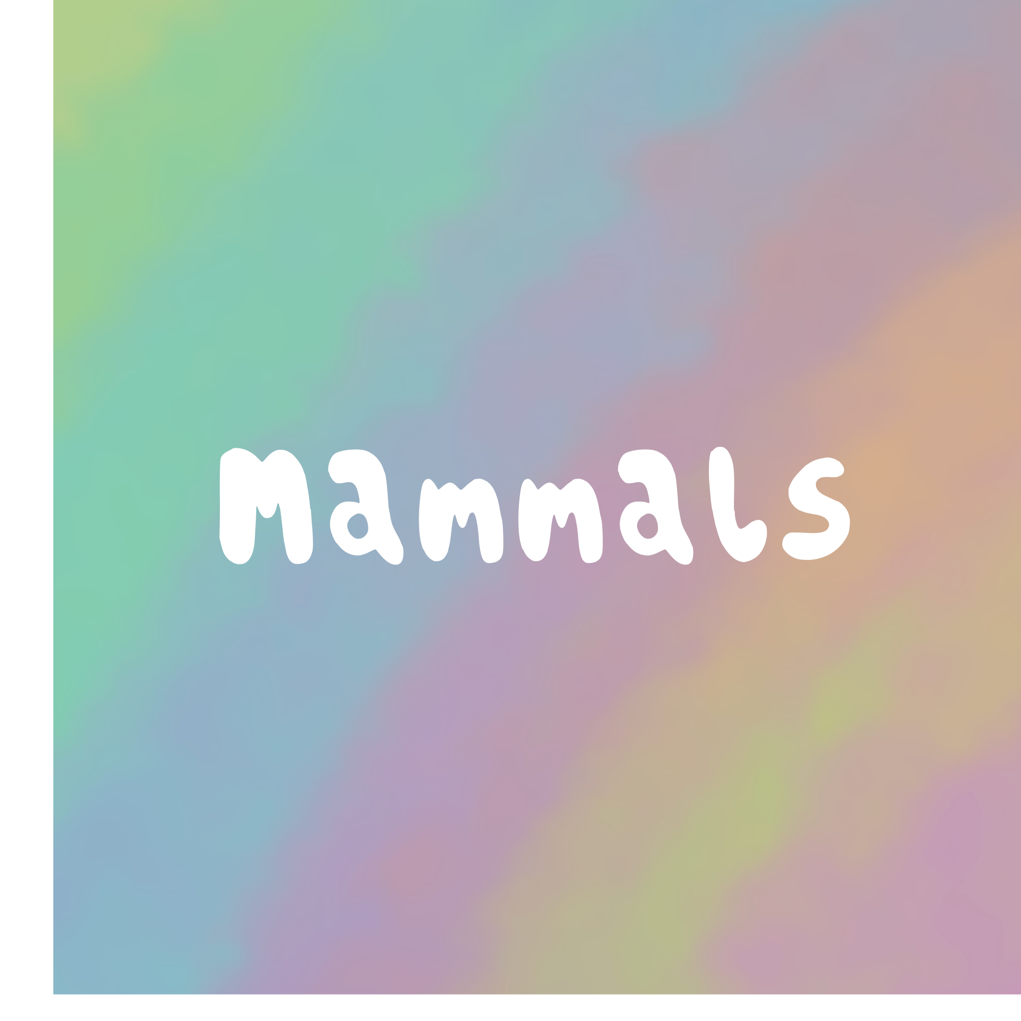 Mammals