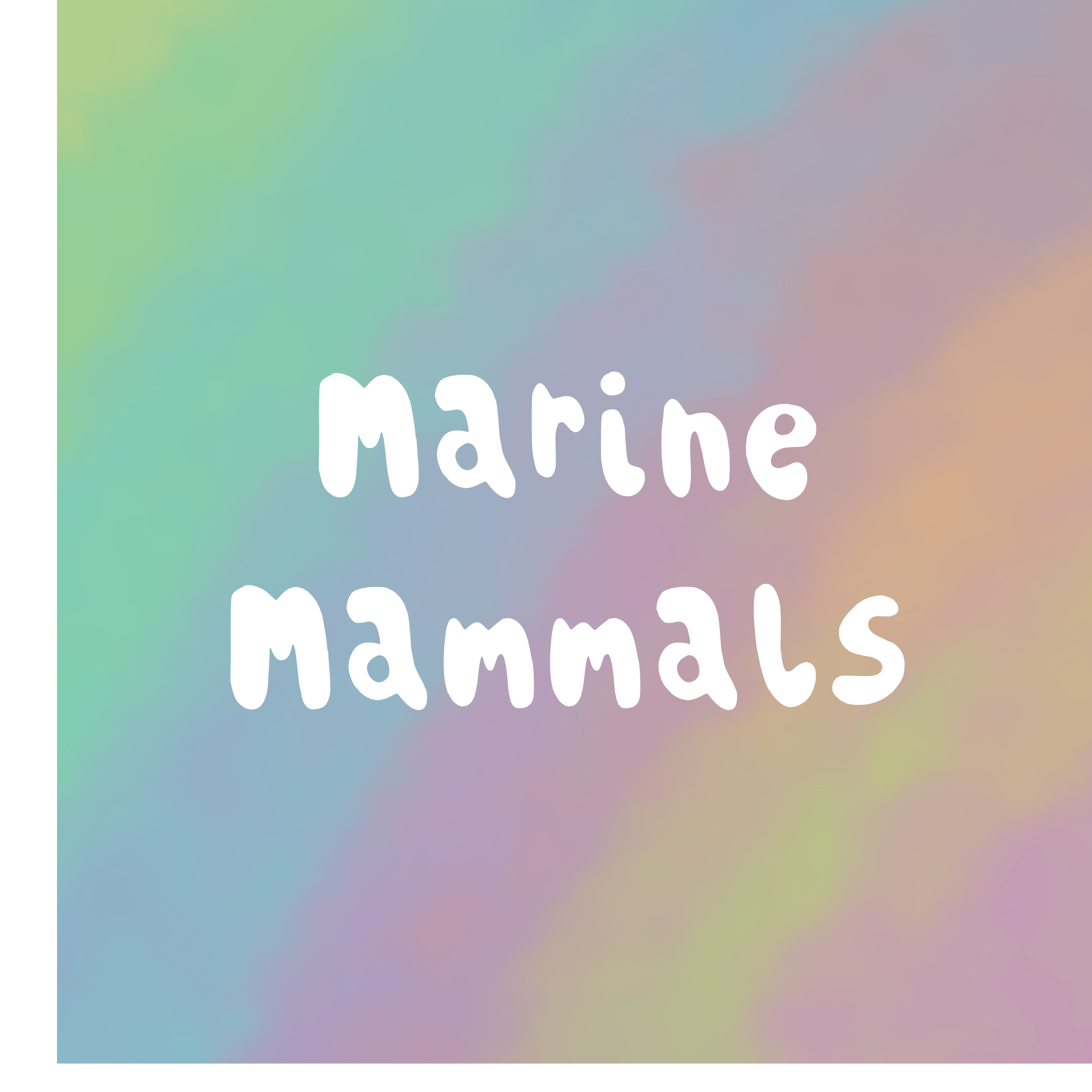 Marine Mammals