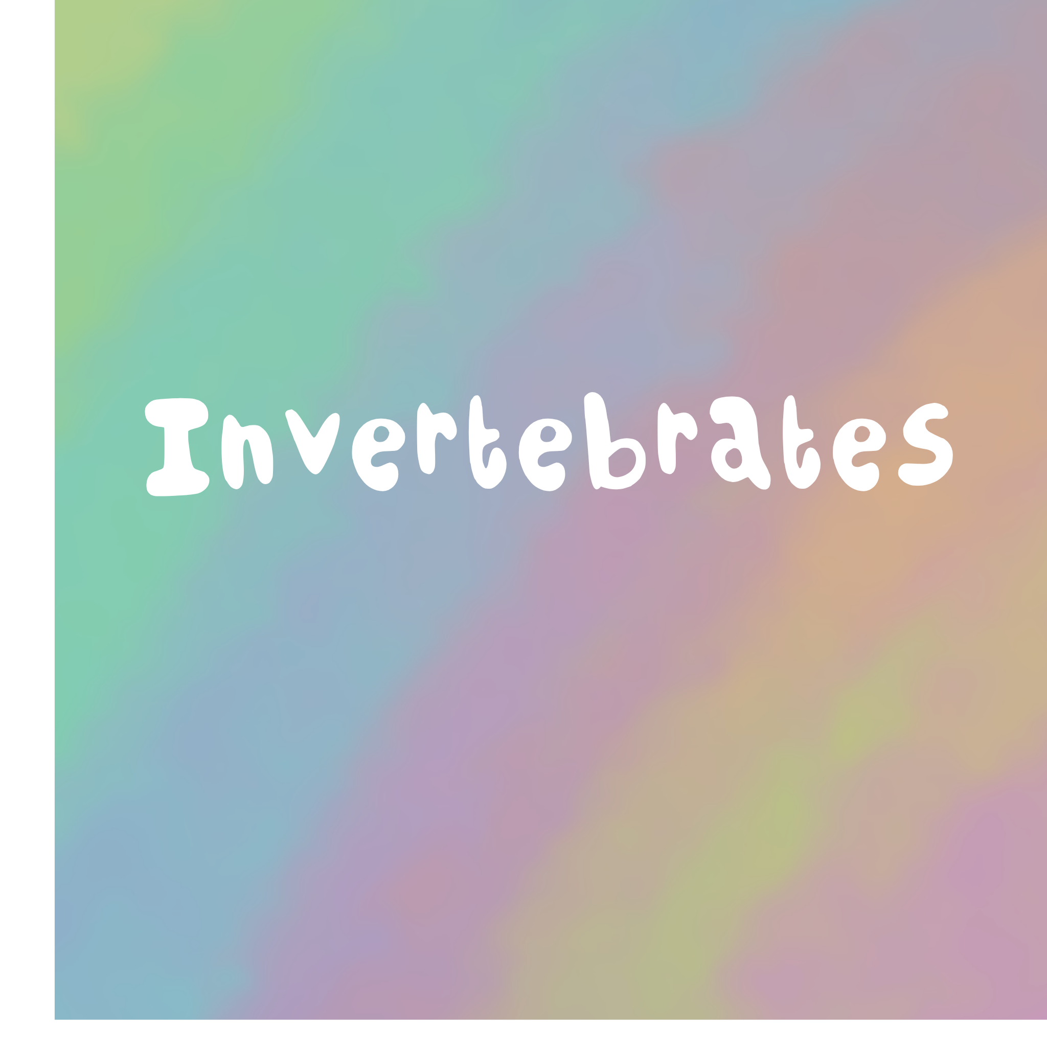 Invertebrates