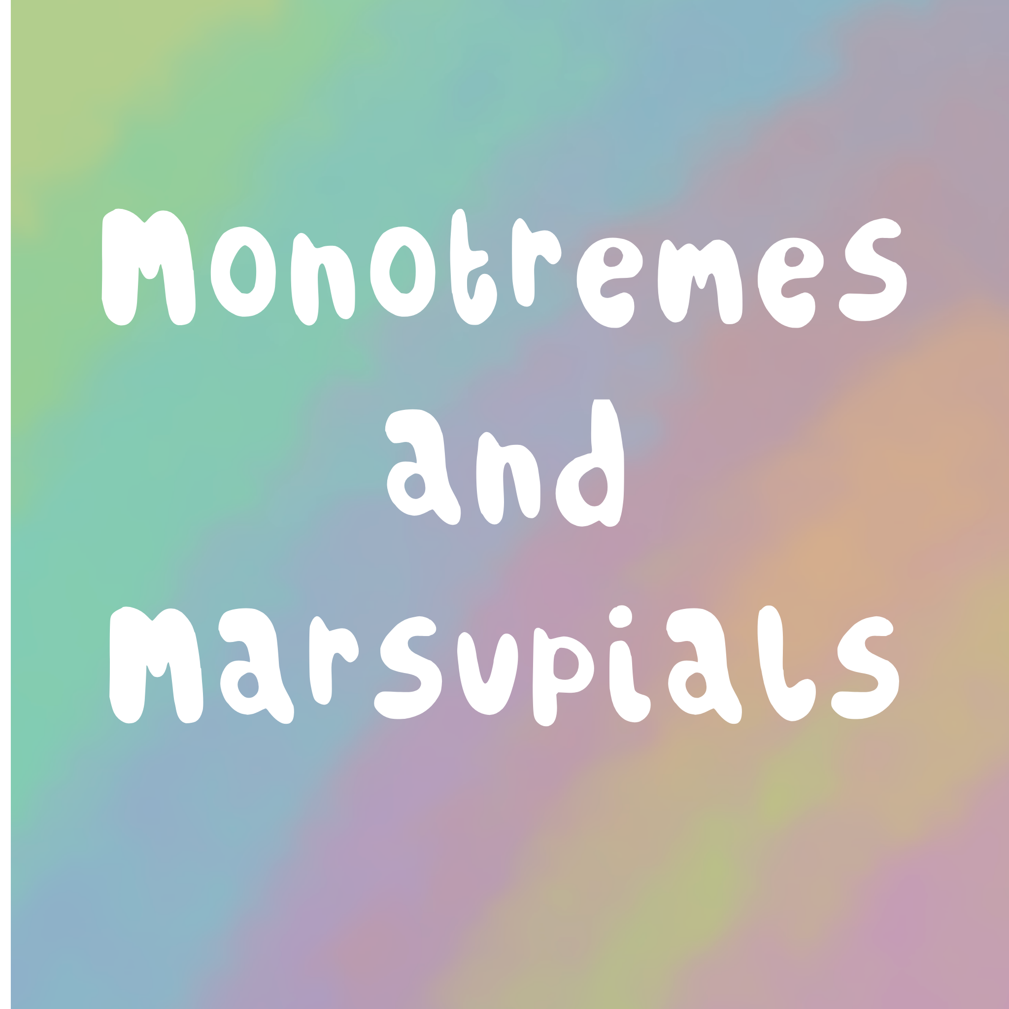 Monotremes and Marsupials