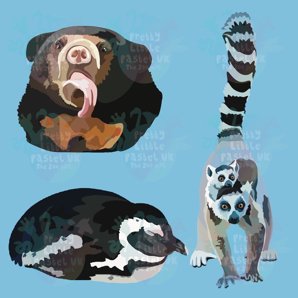 Conception personnalisée - 4 Animaux