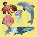 Custom Design - 5 Animals