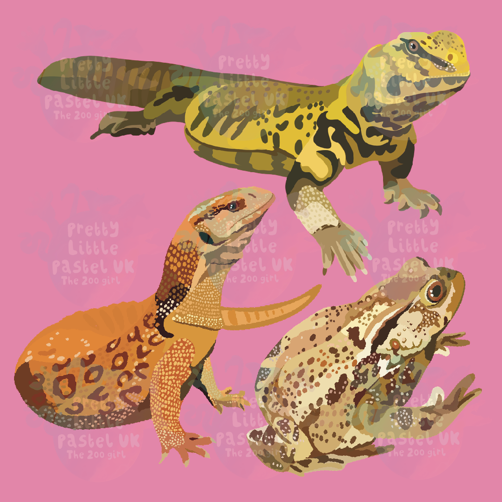 Design personnalisé - 3 animaux