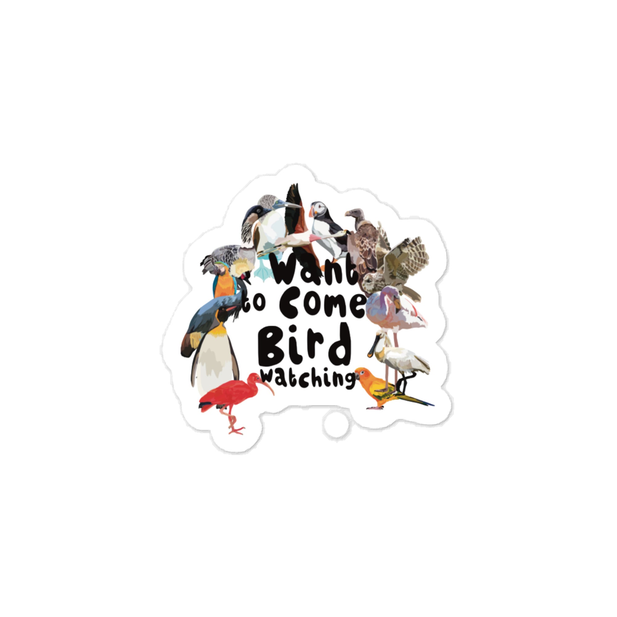 Want to Come Bird Watching? Vinyl Decal – 3