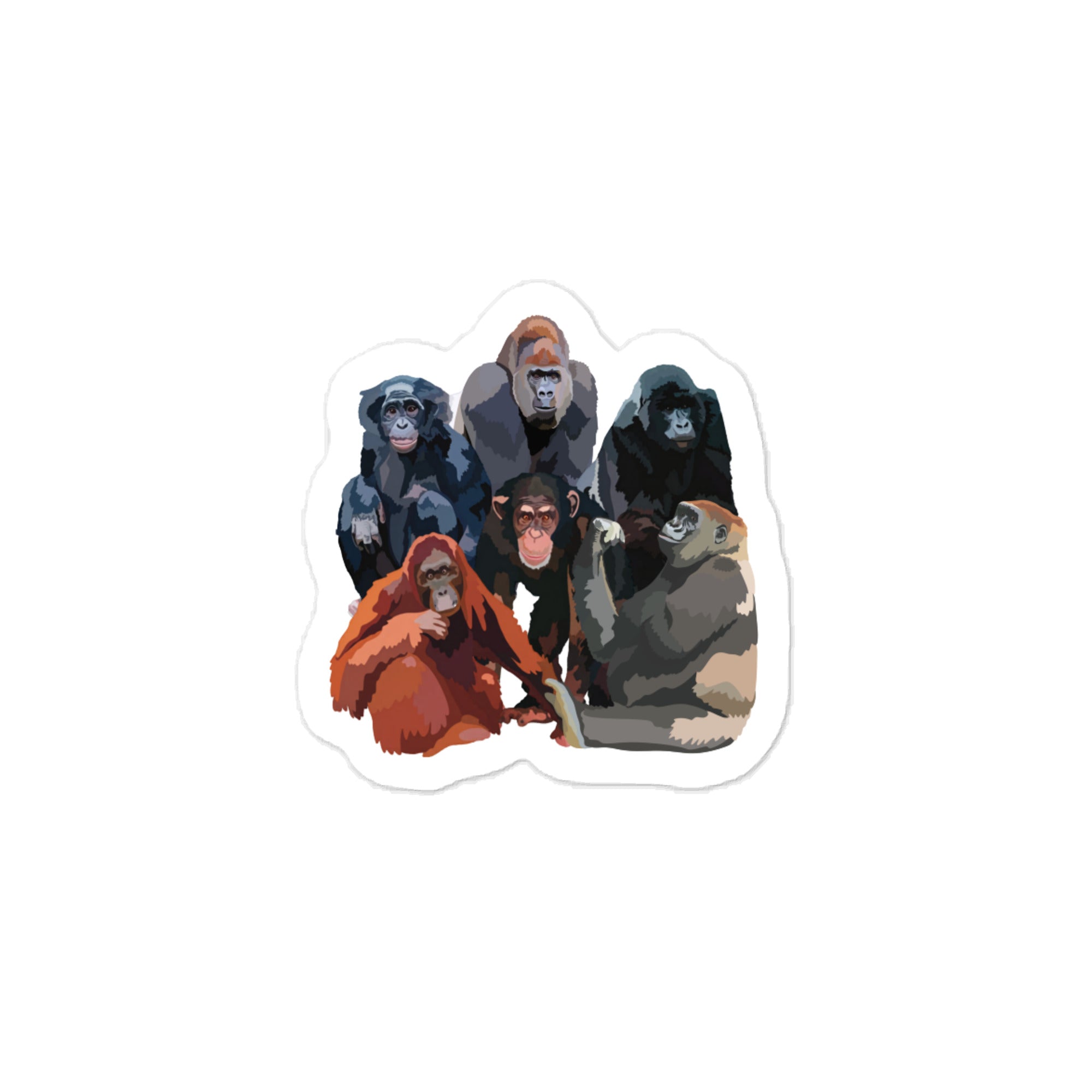 Great Apes Vinyl Decals – Gorillas, Bonobos, Orangutans & Chimpanzee Stickers for Wildlife Lovers